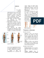 Analisis Del Movimiento Clase Introduccion