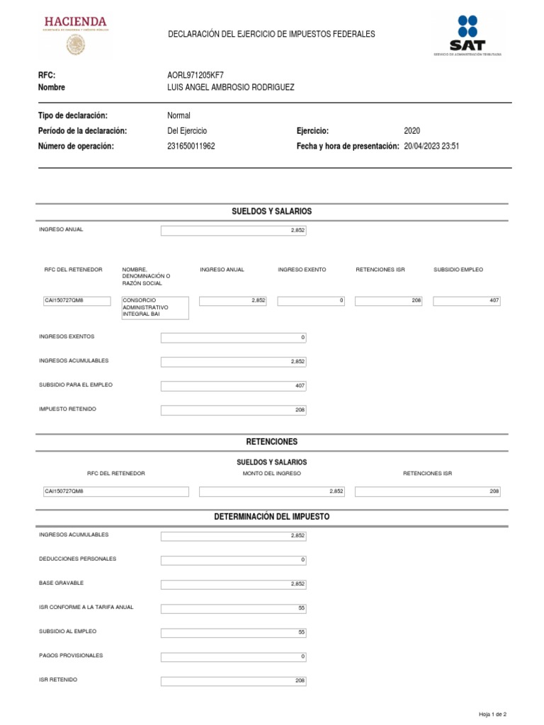 RFC Nombre Declaración Del Ejercicio de Impuestos Federales PDF