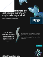 Actualizar Software de Aplicacion, Parches y Copias de Seguridad