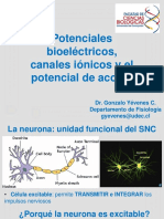 SNC - Potenciales Bioelectricos - GY-BQ2023-part1