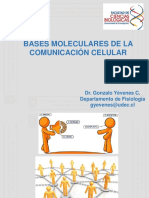Bases Moleculares de La Comunicación Celular: Dr. Gonzalo Yévenes C. Departamento de Fisiología Gyevenes@udec - CL