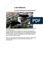 Fauna de Las Islas Malvinas