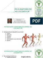 0.introdução À Anatomia