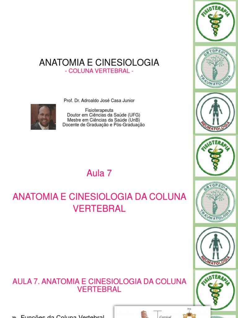 Anatomia e Cinesiologia da Coluna | PDF | Coluna vertebral | Tórax ...
