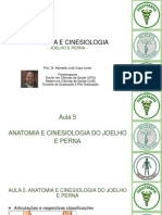 5.anatomia e Cinesiologia Do Joelho e Perna - Adroaldo