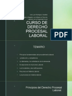 Curso de Derecho Procesal Laboral