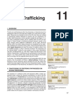 Protein Trafficking: I. Overview