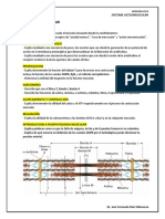 Contracción Muscular