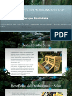 Deshidratador Solar de GANZYUS - CORP