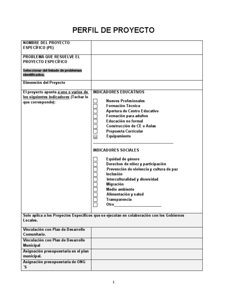 Estructura de un Perfil de Proyecto | PDF