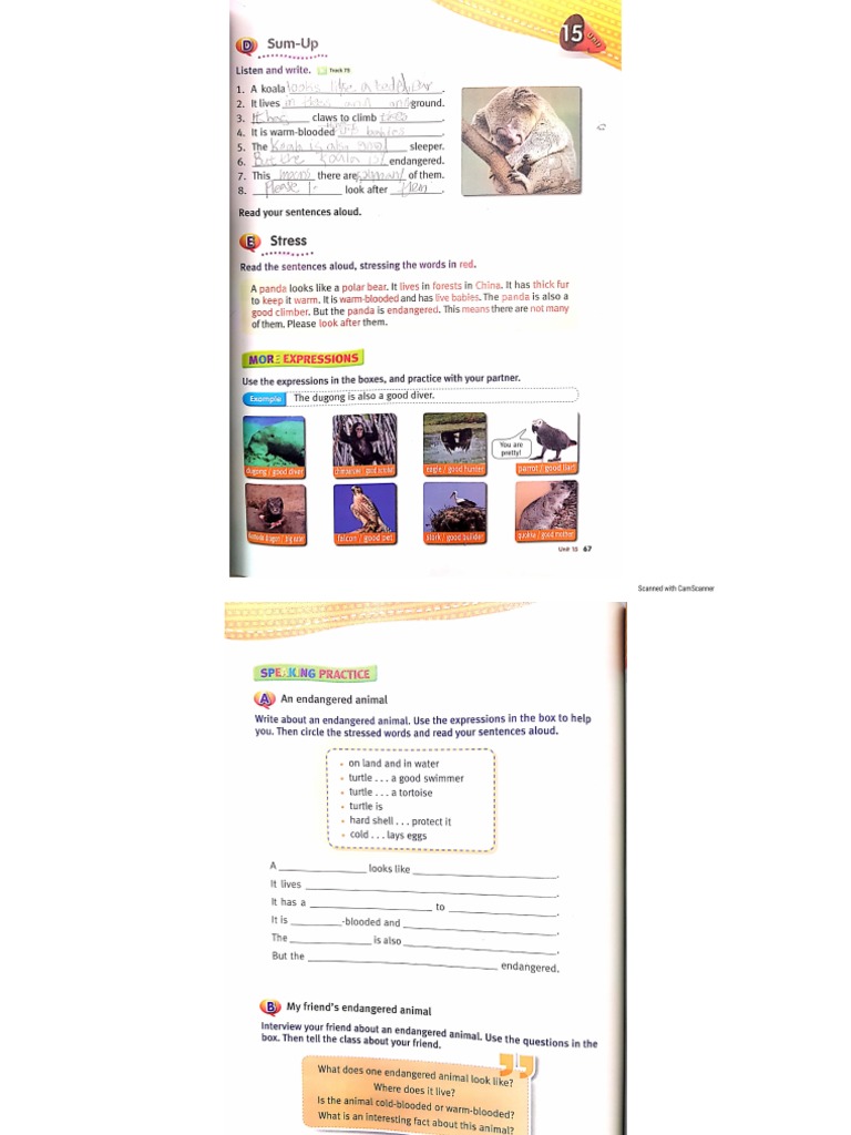 Speaking Time 2 Scanned Pages | PDF