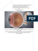 Science Form 3 Stimuli and Responses in Humans