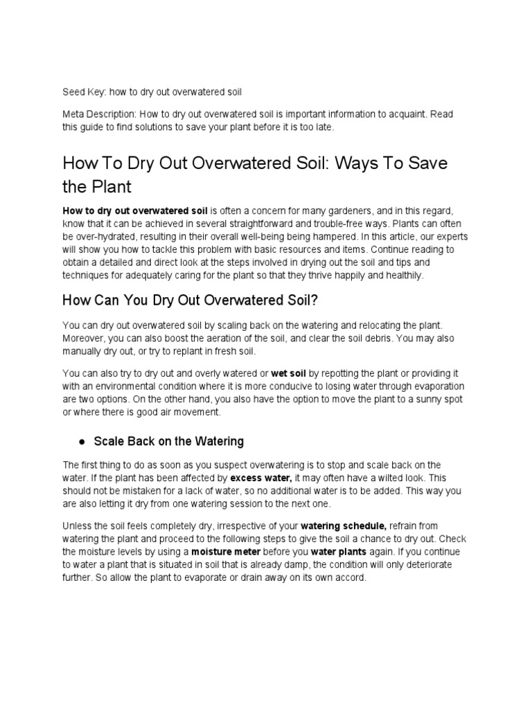 How To Dry Out Overwatered Soil PDF