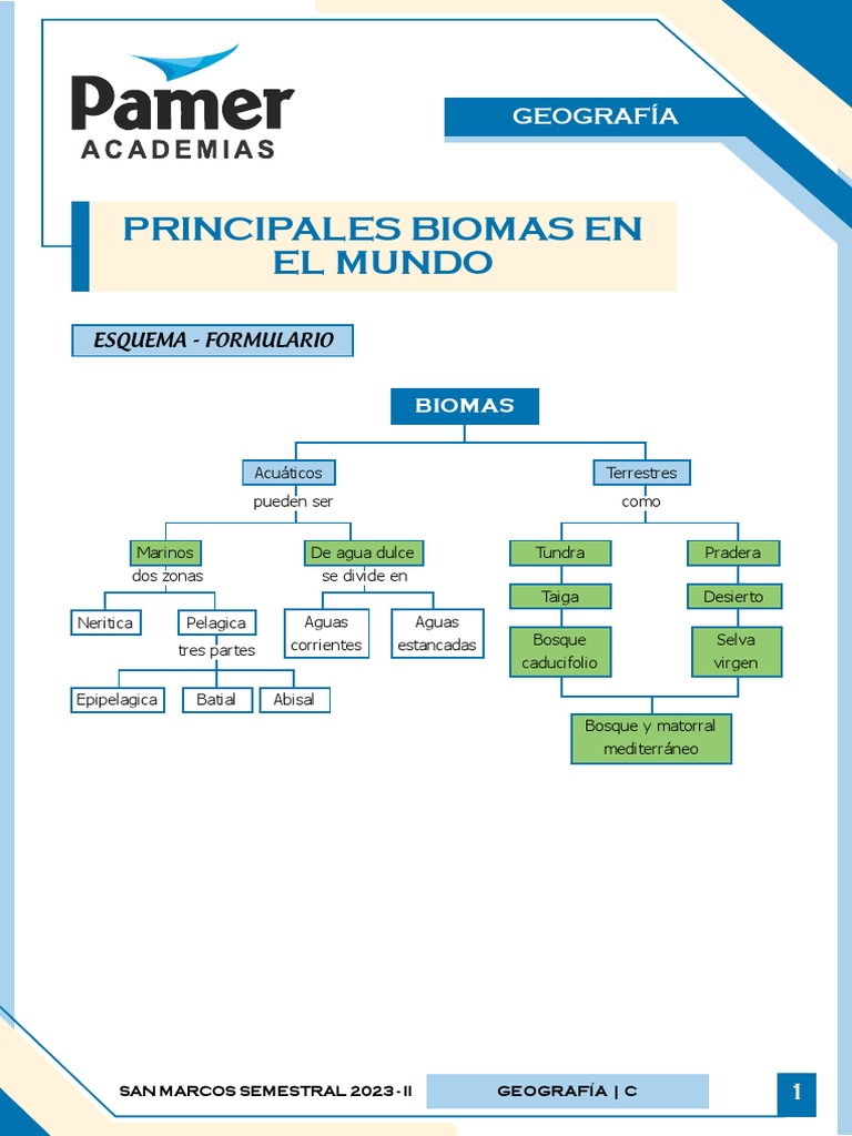 Principales Biomas del Mundo | PDF | Los bosques | Selva