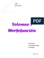 Solemne 1 Morfofunción