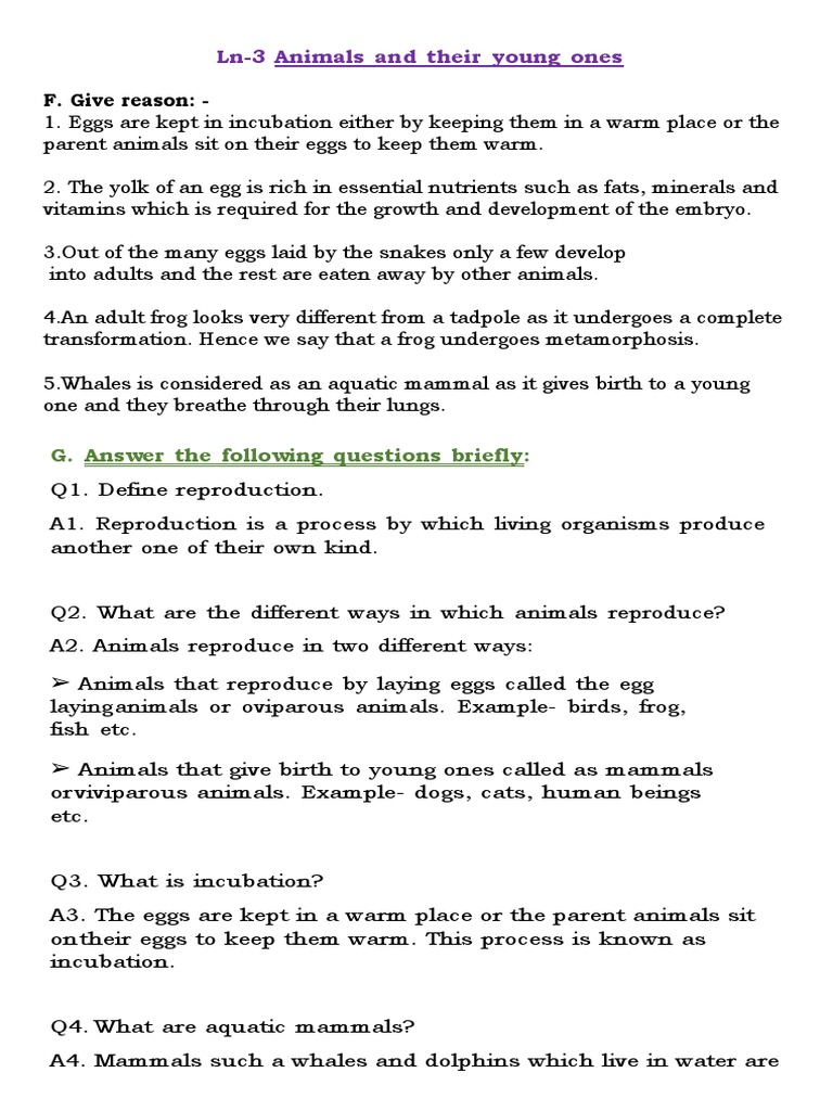 Animals And Their Young Ones Pdf