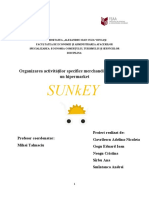 Proiect Merchendaising SUNKEY 1 1 2