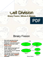 Module 6-Cell Division