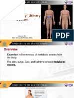 The Excretory/ Urinary System: Lecture By: Marri Jmelou M. Roldan, MSC