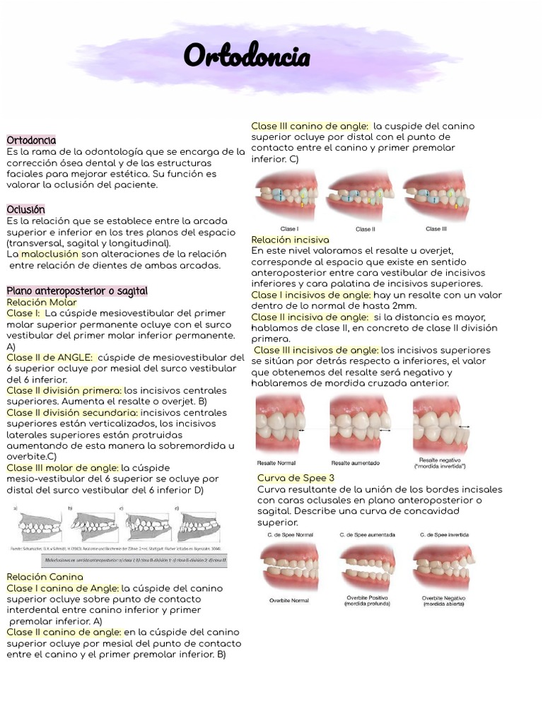Curvas de Spee y Wilson en Ortodoncia | PDF | Ortodoncia | Odontología