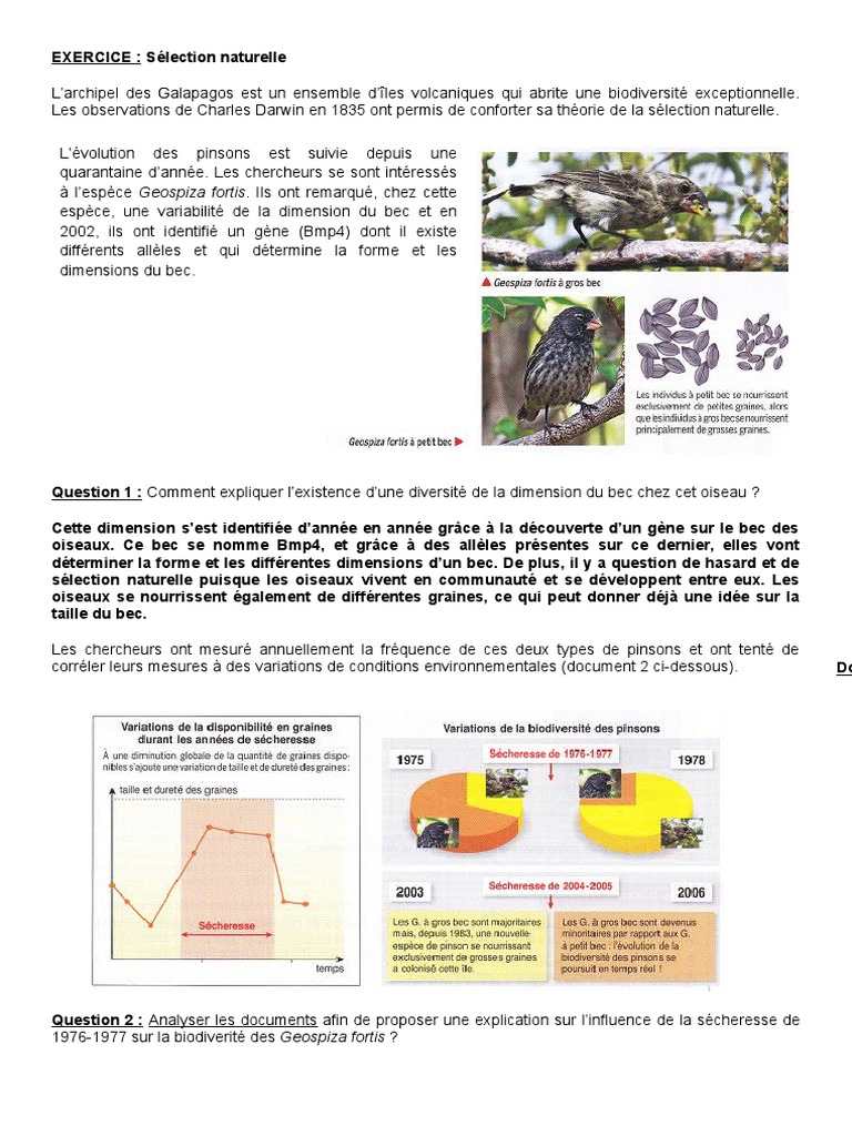 EXERCICE Sélection Naturelle | PDF | Évolution | Sélection naturelle