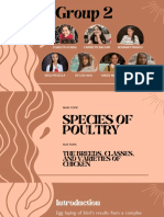 Species and Breeds of Poultry