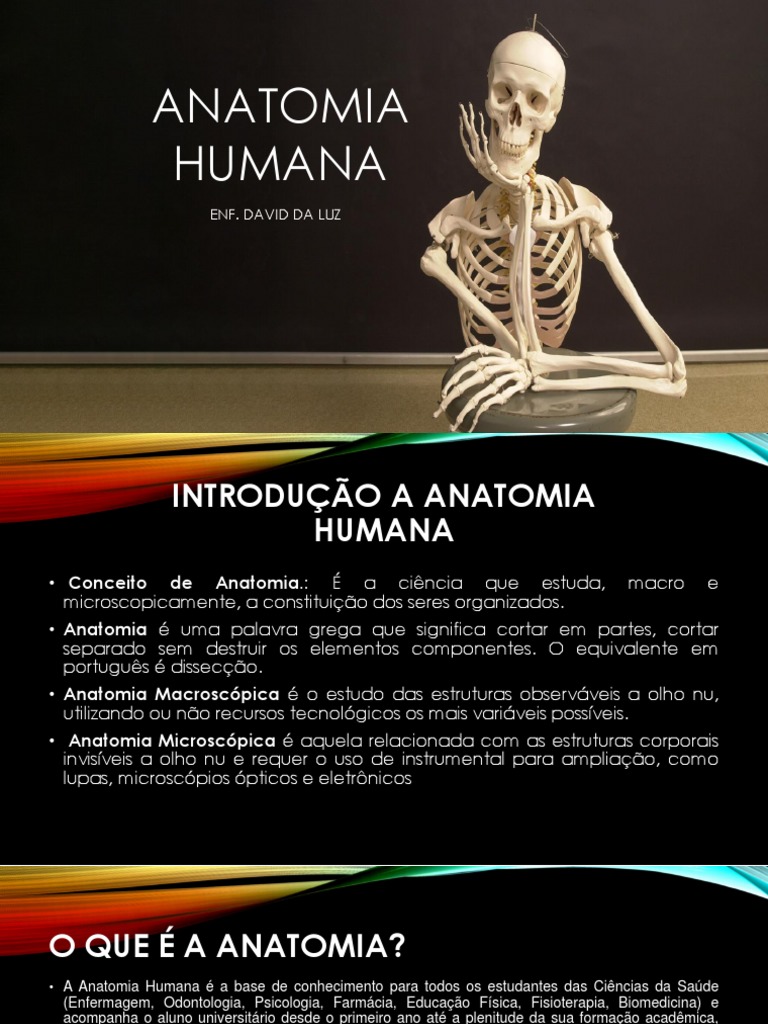 ANATOMIA PDF visual data 7
