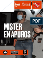 Furia Roja Times: Mister en Apuros