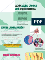 In Amación, y Granulomatosa: Aguda Crónica Crónica