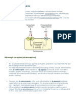 Adrenergic and Cholinergic Receptors in The Heart