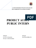 Audit Public Intern