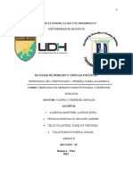 Trabajo de Seminario de Derecho Constitucional