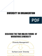Diversity in Organization