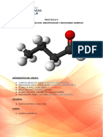 Informe N°4 - Química Organica