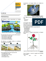 7º Ano Ciências - Aval. Diag