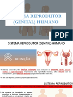 Aula 11 Anato - Sistema Reprodutor (Genital) Masculino e Feminino