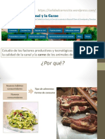 Factores productivos y tecnológicos que afectan calidad canal y carne