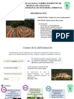 Universidad Nacional Toribio Rodríguez de Mendoza de Amazonas Escuela Profesional de Ingeniería Ambiental Deforestación