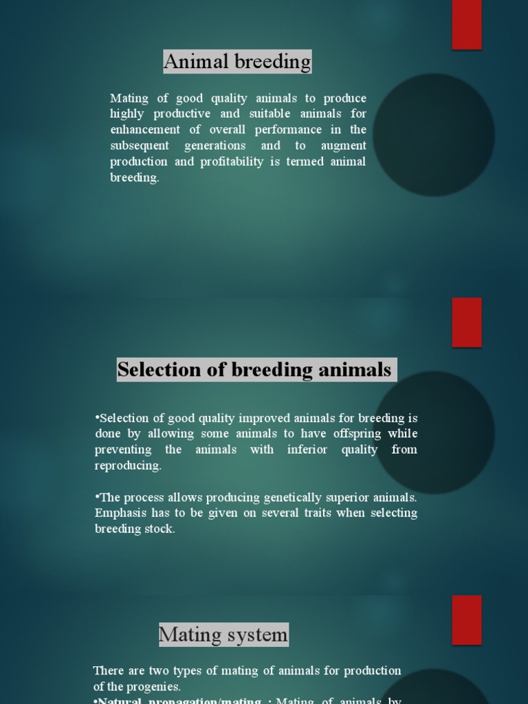 Animal Breeding Pdf Free Download – FPYK