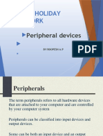 Summer Holiday Homework: Peripheral Devices