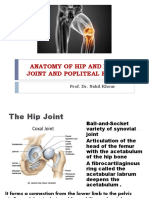 Anatomy of Hip and Knee Joint and Popliteal Fossa: Prof. Dr. Nabil Khour