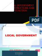Local Government Unit Structure and Function