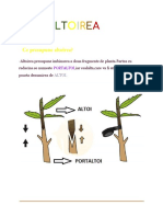 Ce Presupune Altoirea?: Altoi