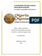 Instituto Superior Tecnologico Maria Montessori: "Laboratorio Clinico Y Anatomia Patologica"