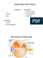 Occupational Stres