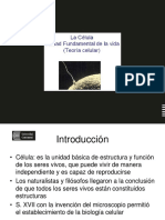 PPT CELULA UNIDAD FUNDAMENTAL