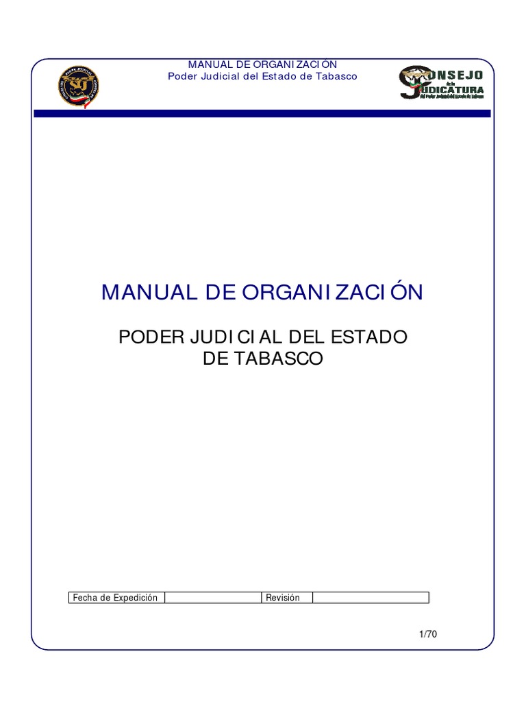 Manual General De Organizacion Del Poder Judicial Pdf Pdf