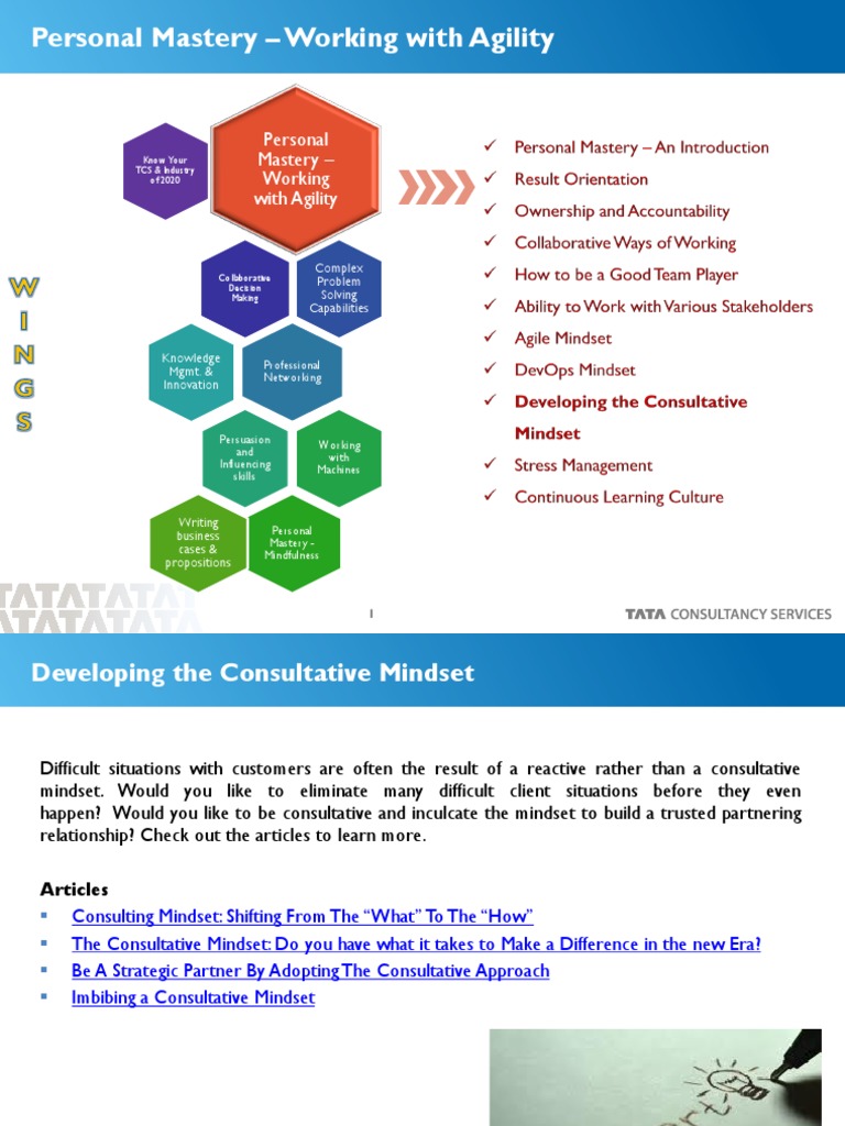 Developing a Consultative Mindset | PDF