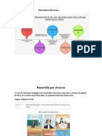 Recorrido Por El Curso de Abordaje Pedagógico de Necesidades Educativas Especiales