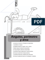 Matematica 5to - Unidad 2 - Angulos, Perimetro y Area